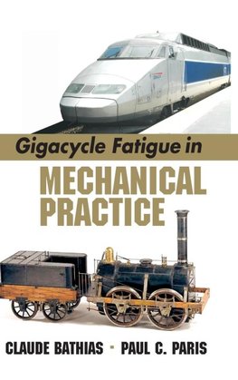 Gigacycle Fatigue in Mechanical Practice