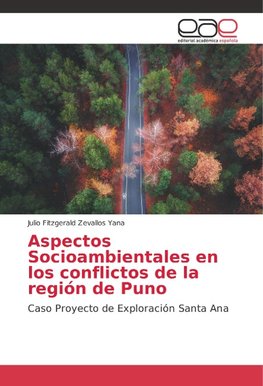 Aspectos Socioambientales en los conflictos de la región de Puno