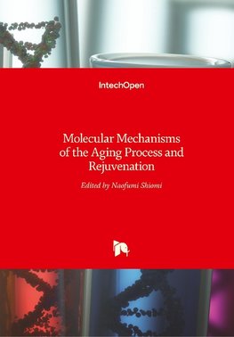 Molecular Mechanisms of the Aging Process and Rejuvenation