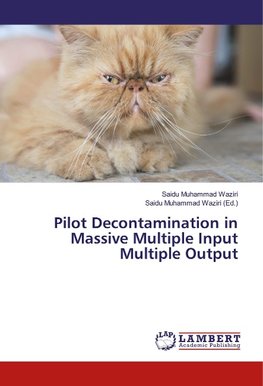 Pilot Decontamination in Massive Multiple Input Multiple Output