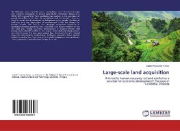 Large-scale land acquisition