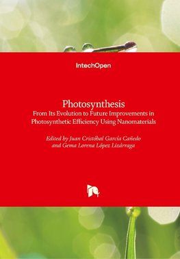 Photosynthesis