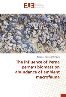 The influence of Perna perna's biomass on abundance of ambient macrofauna