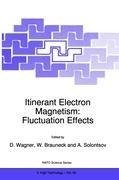 Itinerant Electron Magnetism: Fluctuation Effects