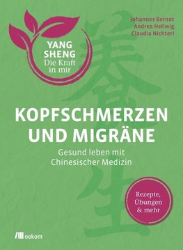 Kopfschmerzen und Migräne (Yang Sheng 5)