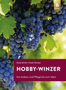 Hobby-Winzer