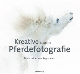 Kreative Pferdefotografie