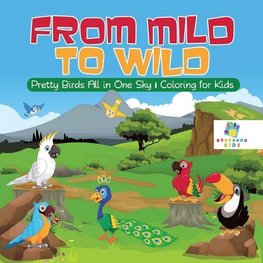 From Mild to Wild | Pretty Birds All in One Sky | Coloring for Kids