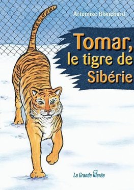 Tomar, le tigre de Sibérie