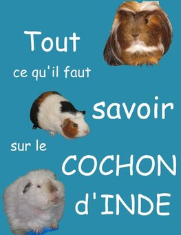 Tout ce qu'il faut savoir sur le cochon d'inde (nouvelle édition)