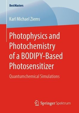 Photophysics and Photochemistry of a BODIPY-Based Photosensitizer