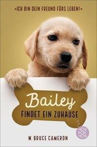 Bailey findet ein Zuhause