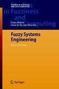 Fuzzy Systems Engineering