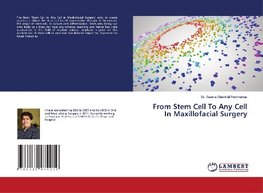 From Stem Cell To Any Cell In Maxillofacial Surgery