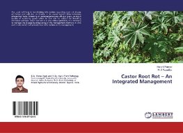 Castor Root Rot - An Integrated Management