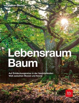 Lebensraum Baum