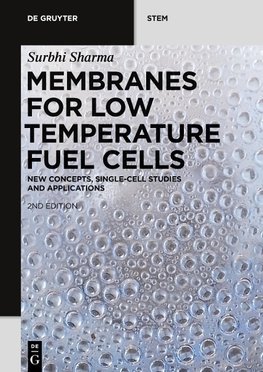 Membranes for Low Temperature Fuel Cells