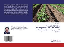 Potassic Fertilizer Management on Groundnut