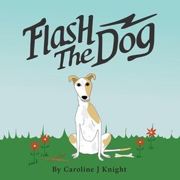 Flash the Dog