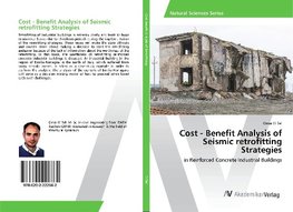 Cost - Benefit Analysis of Seismic retrofitting Strategies