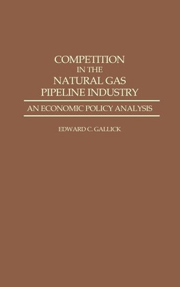 Competition in the Natural Gas Pipeline Industry