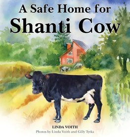 A Safe Home for Shanti Cow