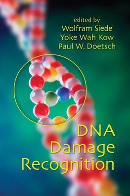 DNA Damage Recognition