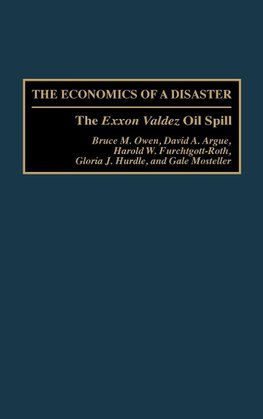 Economics of a Disaster