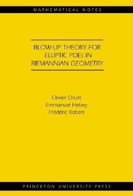 Blow-up Theory for Elliptic PDEs in Riemannian Geometry (MN-45)