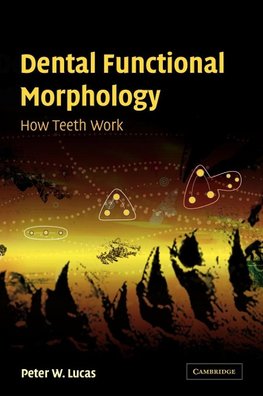 Dental Functional Morphology