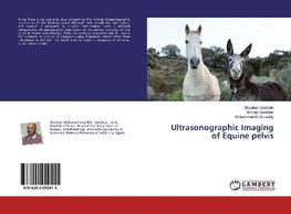 Ultrasonographic Imaging of Equine pelvis