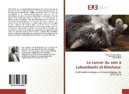 Le cancer du sein à Lubumbashi et Kinshasa: