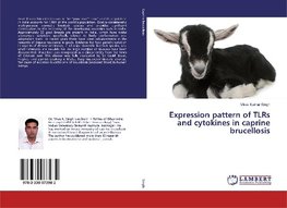 Expression pattern of TLRs and cytokines in caprine brucellosis