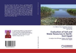 Evaluation of Soil and Water Resources in North-East Egypt