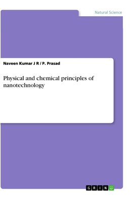 Physical and chemical principles of nanotechnology