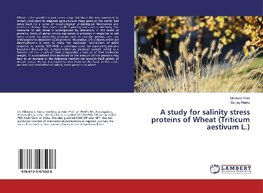 A study for salinity stress proteins of Wheat (Triticum aestivum L.)