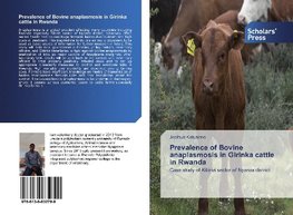 Prevalence of Bovine anaplasmosis in Girinka cattle in Rwanda