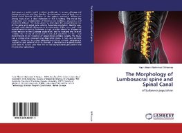 The Morphology of Lumbosacral spine and Spinal Canal