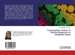 Transcription Factors in Cellular Response to Oxidative Stress