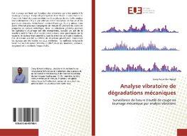 Analyse vibratoire de dégradations mécaniques