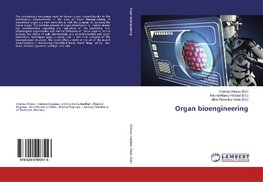 Organ bioengineering