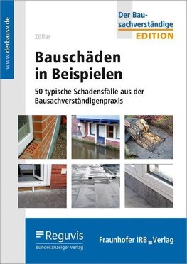 Bauschäden in Beispielen.