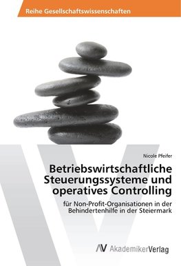 Betriebswirtschaftliche Steuerungssysteme und operatives Controlling