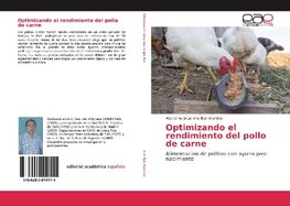 Optimizando el rendimiento del pollo de carne