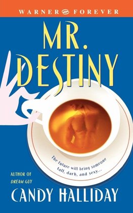 Mr. Destiny