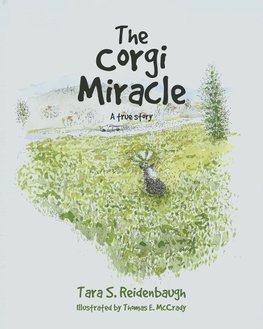 The Corgi Miracle