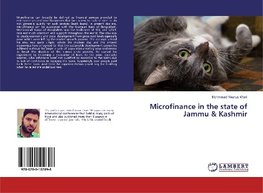 Microfinance in the state of Jammu & Kashmir