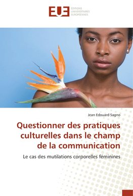 Questionner des pratiques culturelles dans le champ de la communication