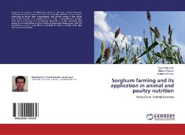 Sorghum farming and its application in animal and poultry nutrition