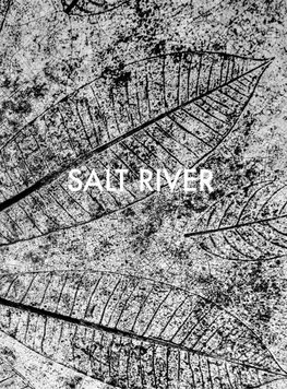 Salt River